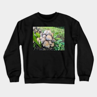 Forest Mushrooms in the Grass Crewneck Sweatshirt